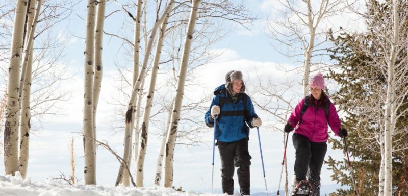 Two people snowshoeing in a snowy landscape with bare trees.