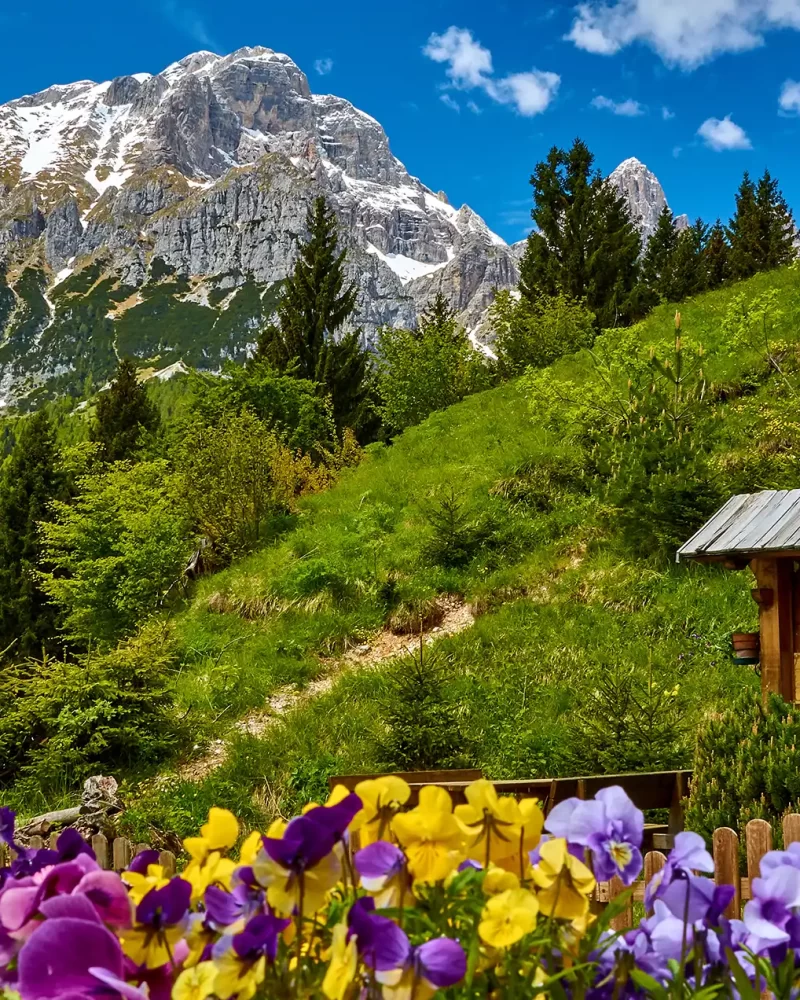 shutterstock_1570664740