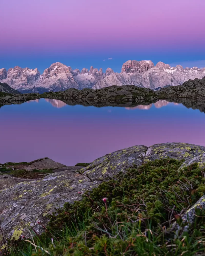 shutterstock_2227612913