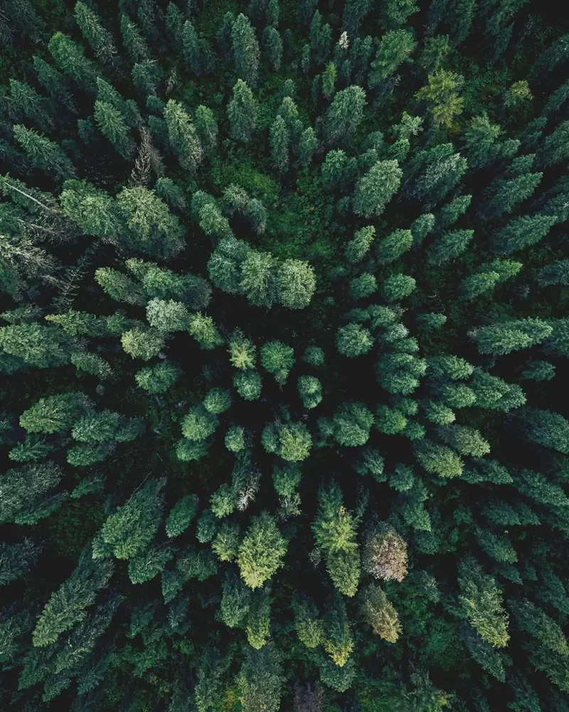 shutterstock_2247628099