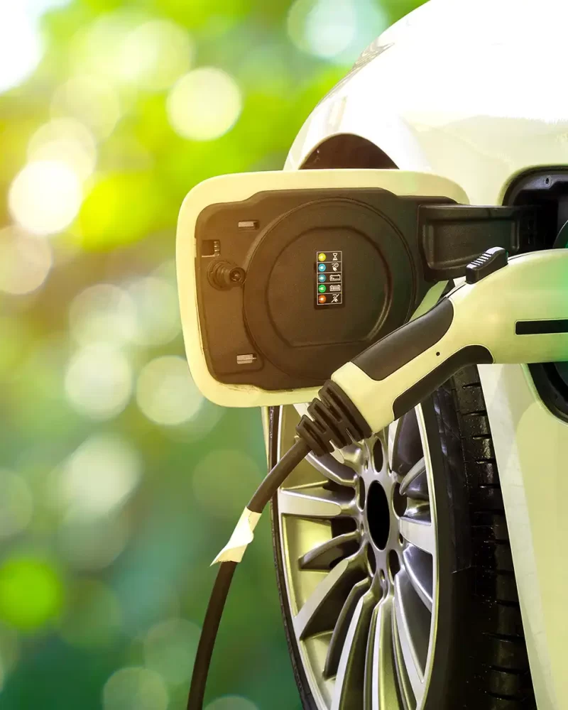 shutterstock_750610873